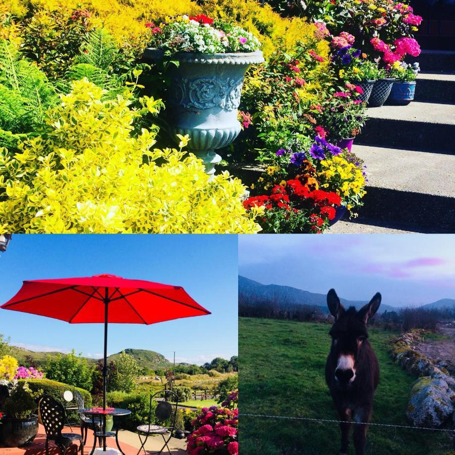 Hillcrest Farmhouse Bed & Breakfast Boyhollagh 외부 사진