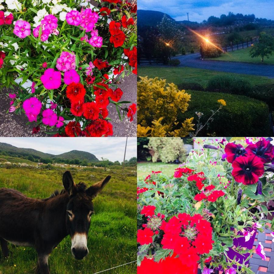 Hillcrest Farmhouse Bed & Breakfast Boyhollagh 외부 사진