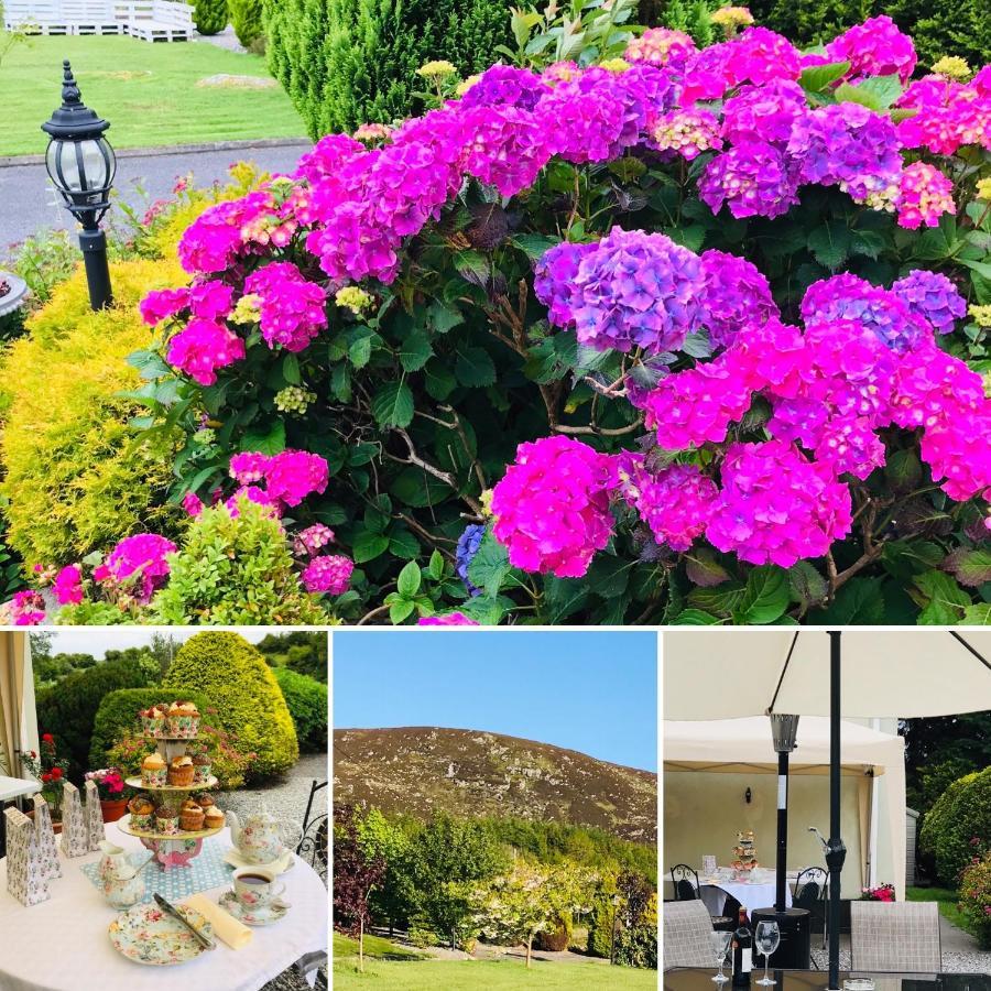 Hillcrest Farmhouse Bed & Breakfast Boyhollagh 외부 사진
