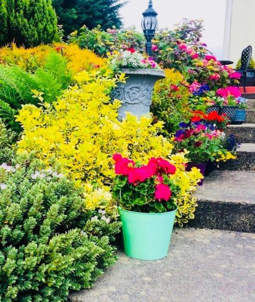 Hillcrest Farmhouse Bed & Breakfast Boyhollagh 외부 사진
